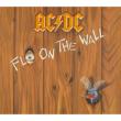 Fly On The Wall