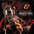 Black Dog: Hellsing Ultimate Ova Series