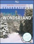 Winter Wonderland