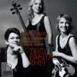Works For Piano Trio-bruch, F.martin, Schoenfield: Trio Panta Rhei