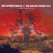 Glorify Astrological Martyrdom Acid Mothers Temple & The Melting Paraiso U. F. O.
