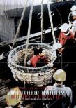 Matthew Barney: No Restraint