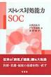 �X�g���X�Ώ��\��SOC