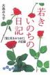 �哇�݂��q