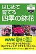 �͂��߂Ĉ�Ă�l�G�̔��� NHK�o�Ŏ��p�Z���N�V����