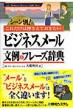 �r�W�l�X���[������  & �t���[�Y���T Business Manner Guide Book