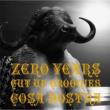 Zero Years -Cut Up Groovies-