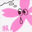Sakura No Hanabira Sakidasu Koro