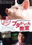School Days With A Pig