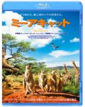 The Meerkats