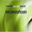 Metamorphosen