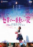 Sekai De 1ban Utsukushii Yoru Deluxe Ban