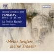 Cantata, 13, 73, 81, 144, (Vol.8): S.kuijken / La Petite Bande Etc