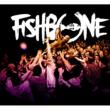 Fishbone Live