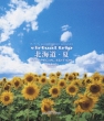 Virtual Trip Hokkaido -Summer-