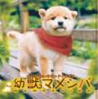 Yoju Mameshiba: Original Soundtrack