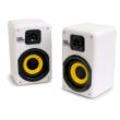P.speaker (�z���C�g)