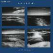 After The Requiem: Balanescu Frisell Sulzmann Etc