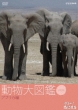 Hello Animal! Doubutsu Daizukan 1 Africa Hen