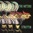 Struttin`