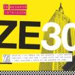 Ze 30: Ze Records Story 1979-2009