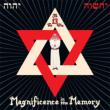 Magnificence In The Memory