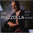 The Master Of The Bandoneon