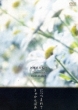 Embracing/Kyakarabaa
