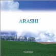 Arashi Sakuhin Shuu