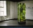 Vivarium