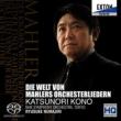 Die Welt Von Mahlers Orchestraliedern