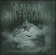 In the Constellation of the Black Widow (Picture LP)