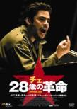 Che Part1:The Argentine