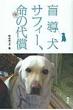 �ӓ����T�t�B�[�A���̑㏞