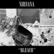 Bleach Deluxe Edition
