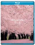 Virtual Trip Sakura -Reprise-