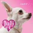 �n�����u (+dvd)(Ltd)