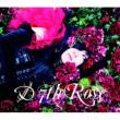 7th Rose (Limited Edition)