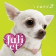 Haru Love 2 (+DVD)[Limited Edition]
