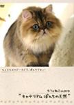 Cateriam Ponchi No Tennen