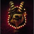 Animal Zombies