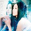 Devotion (+DVD)