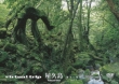 Virtual Trip Yakushima Yuukyuu No Rakuen Part 1