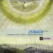 Mass Bwv, 233-236, : Herreweghe / Collegium Vocale