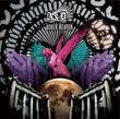 BLACK HEAVEN (+DVD)[Limited Edition]