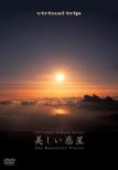 Virtual Trip The Beautiful Planet