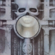 Brain Salad Surgery