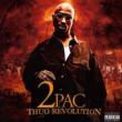 Thug Revolution