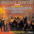 Flute Concerto.1, 2, Andante: Galway, Baumgartner / Lucerne Festival Strings