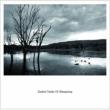 Zankyo Tracks Of Shoegazing